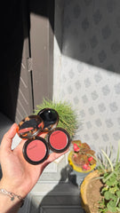 Charlotte Tilbury - Lip snd Cheek Glow