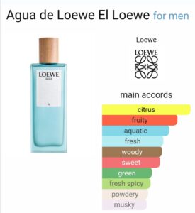 Loewe agua el 100ml edt for men beautifly. Com. Pk